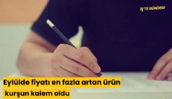 Eylülde fiyatı en fazla artan ürün kurşun kalem oldu