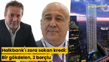 Halkbank'ı zora sokan kredi: Bir gökdelen, 2 borçlu