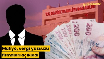 Maliye, vergi yüzsüzü firmaları açıkladı