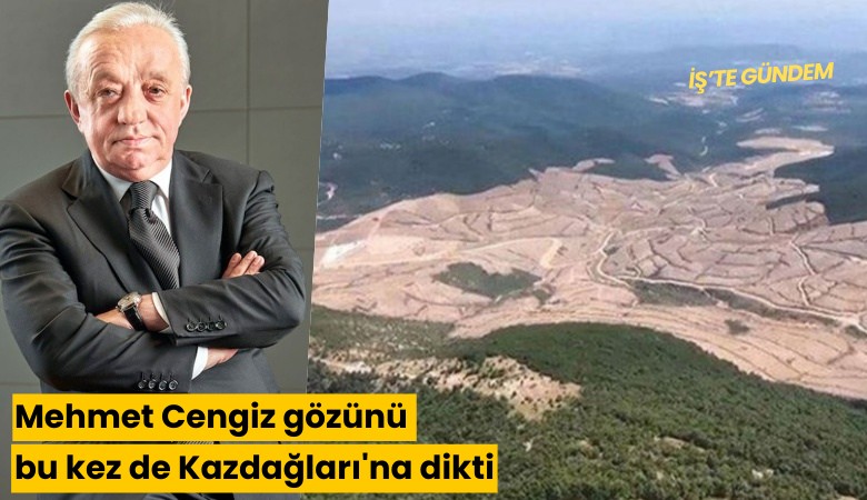 Mehmet Cengiz gözünü bu kez de Kazdağları'na dikti! 1 milyon ağaç kesecek