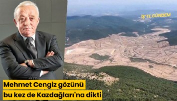 Mehmet Cengiz gözünü bu kez de Kazdağları'na dikti! 1 milyon ağaç kesecek