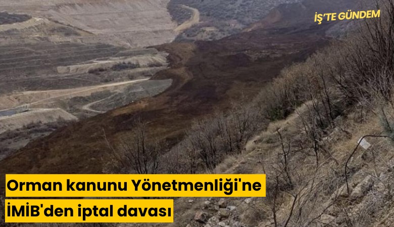 Orman kanunu Yönetmenliği'ne İMİB'den iptal davası