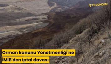 Orman kanunu Yönetmenliği'ne İMİB'den iptal davası