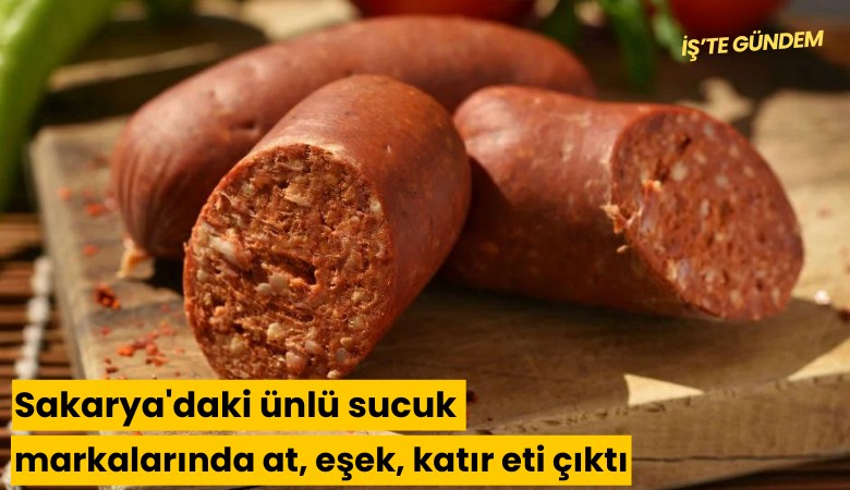 Sakarya'daki ünlü sucuk markalarında at, eşek, katır eti çıktı
