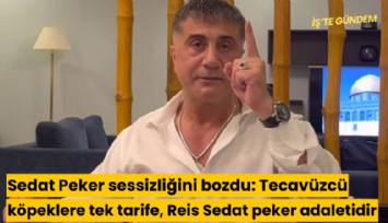Sedat Peker sessizliğini bozdu: Tecavüzcü köpeklere uygulanması gereken tek tarife, Reis Sedat peker adaletidir