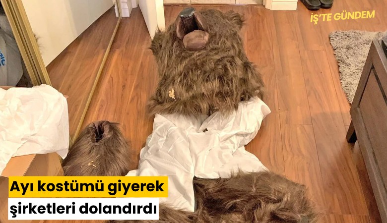 Ayı kostümü giyerek şirketleri dolandırdı