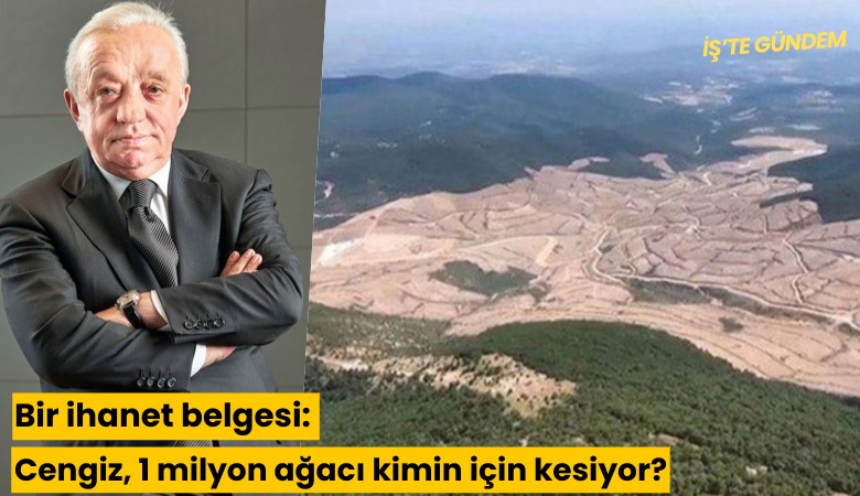 Bir ihanet belgesi: Cengiz 1 milyon ağacı kimin için kesiyor?