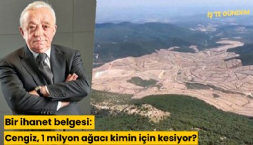 Bir ihanet belgesi: Cengiz 1 milyon ağacı kimin için kesiyor?