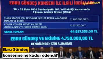 Ebru Gündeş konserine ne kadar ödendi?