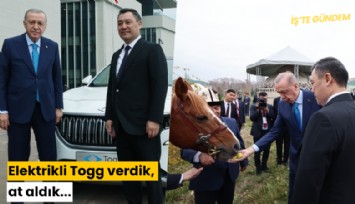 Elektrikli Togg verdik, at aldık...