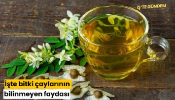 İşte bitki çaylarının bilinmeyen faydası
