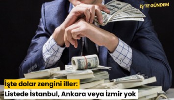 İşte dolar zengini iller: Listede İstanbul, Ankara veya İzmir yok