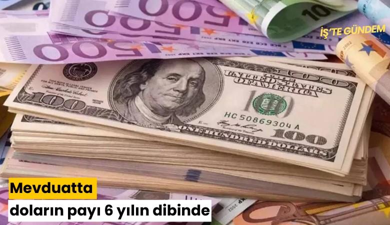 Mevduatta doların payı 6 yılın dibinde
