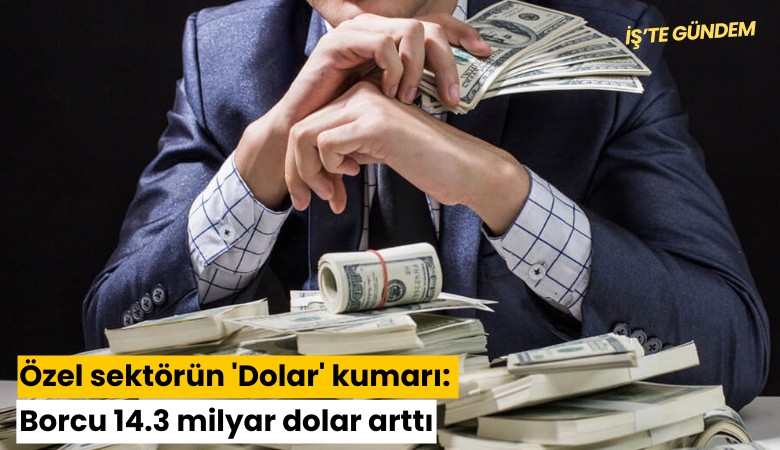 Özel sektörün 'Dolar' kumarı: Borcu 14.3 milyar dolar arttı