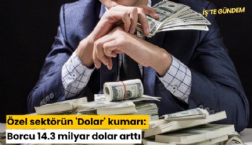 Özel sektörün 'Dolar' kumarı: Borcu 14.3 milyar dolar arttı