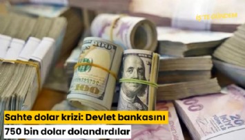Sahte dolar krizi: Devlet bankasını 750 bin dolar dolandırdılar