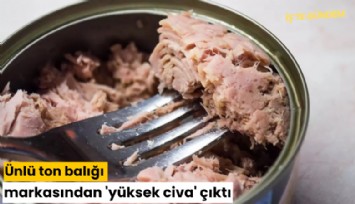 Ünlü ton balığı markasından 'yüksek civa' çıktı