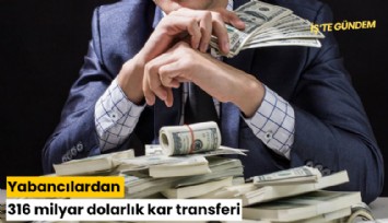Yabancılardan 316 milyar dolarlık kar transferi