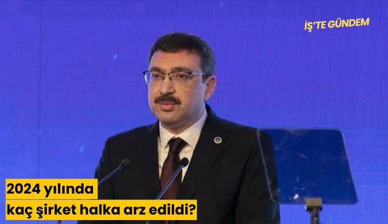 2024 yılında kaç şirket halka arz edildi?