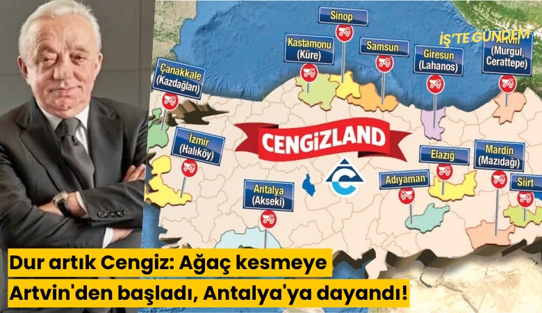 Dur artık Cengiz: Ağaç kesmeye Artvin'den başladı, Antalya'ya dayandı!