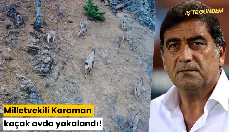 Milletvekili Karaman kaçak avda yakalandı!