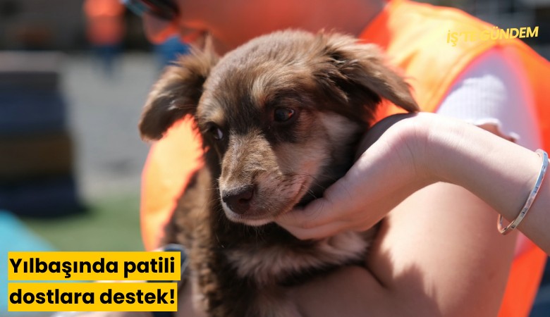 Yılbaşında patili dostlara destek!