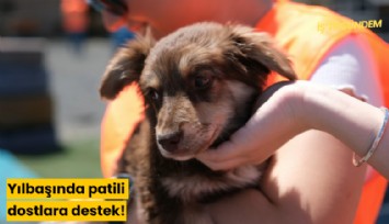 Yılbaşında patili dostlara destek!