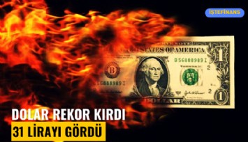 Dolar rekor kırdı; 31 lirayı gördü