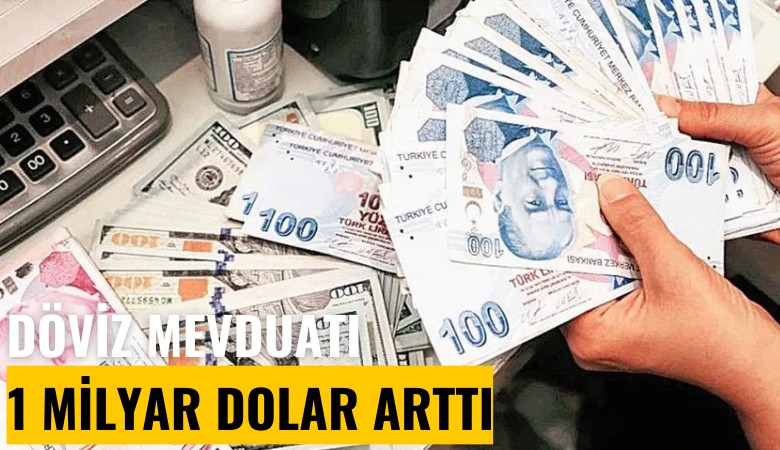 Döviz mevduatı 1 milyar dolar arttı