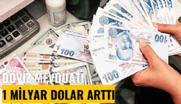 Döviz mevduatı 1 milyar dolar arttı
