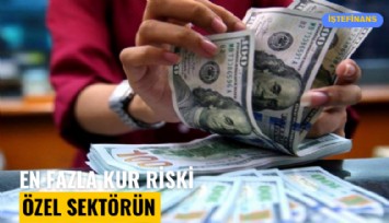 En fazla kur riski özel sektörün: 93.6 milyar dolar