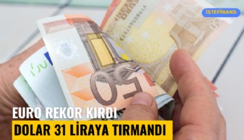 Euro rekor kırdı, dolar 31 liraya