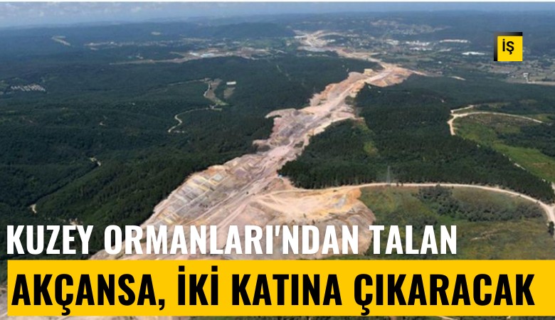 Kuzey Ormanları'ndan talan: Akçansa, iki katına çıkaracak