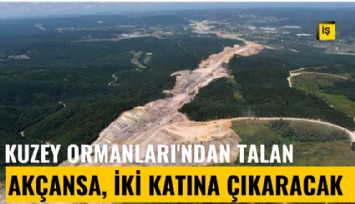 Kuzey Ormanları'ndan talan: Akçansa, iki katına çıkaracak