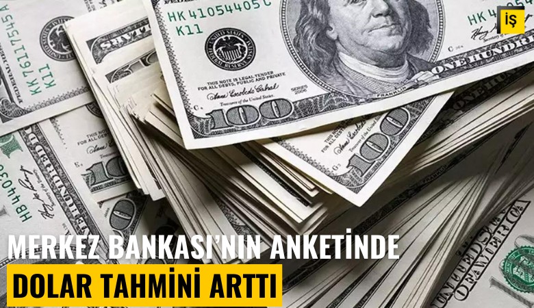 Merkez Bankası anketinde dolar tahmini arttı