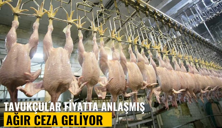 Tavukçular fiyatta anlaşmış: Ağır ceza geliyor