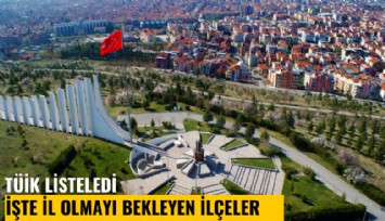 TÜİK listeledi: İşte il olmayı bekleyen ilçeler