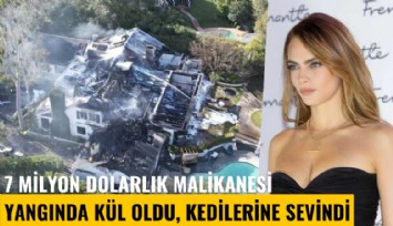 7 milyon dolarlık malikanesi yangında kül oldu, kedilerine sevindi