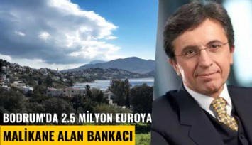 Bodrum'da 2.5 milyon euroya malikane alan bankacı