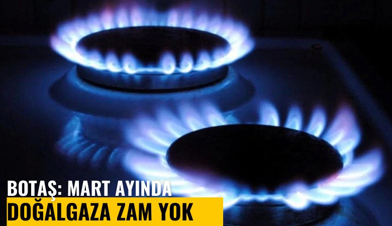 BOTAŞ: Mart ayında doğalgaza zam yok