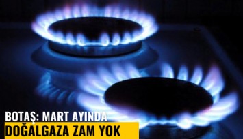 BOTAŞ: Mart ayında doğalgaza zam yok