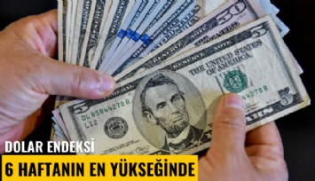 Dolar endeksi 6 haftanın en yükseğinde