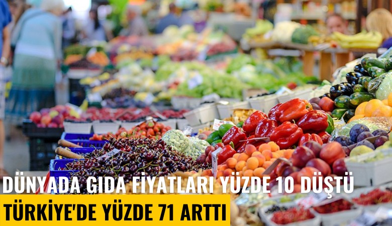 Dünyada gıda fiyatları yüzde 10 düştü, Türkiye'de yüzde 71 arttı