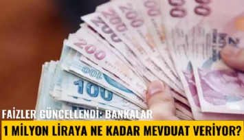Faizler güncellendi: Bankalar 1 Milyon liraya ne kadar mevduat veriyor?