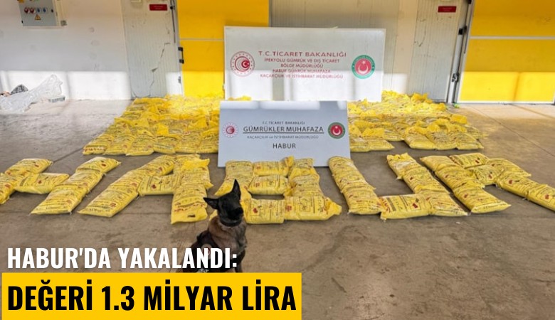 Habur'da yakalandı: Değeri 1.3 milyar lira