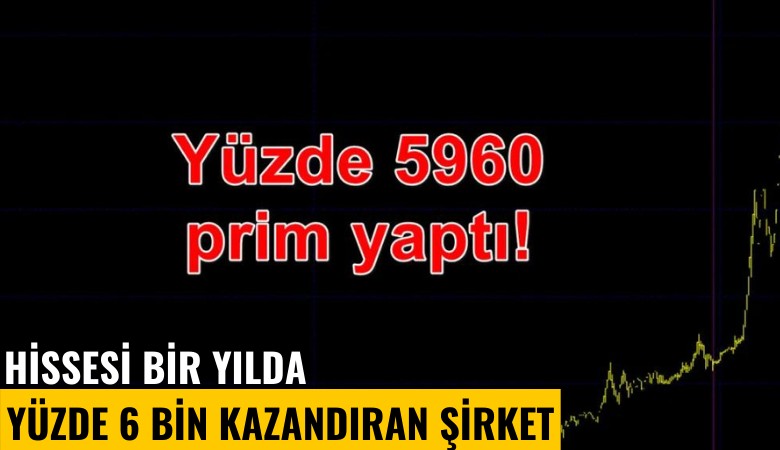 Hissesi 1 yılda yüzde 6 bin prim yapan şirket