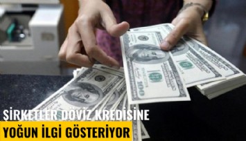 Şirketler döviz kredisine yoğun ilgi gösteriyor