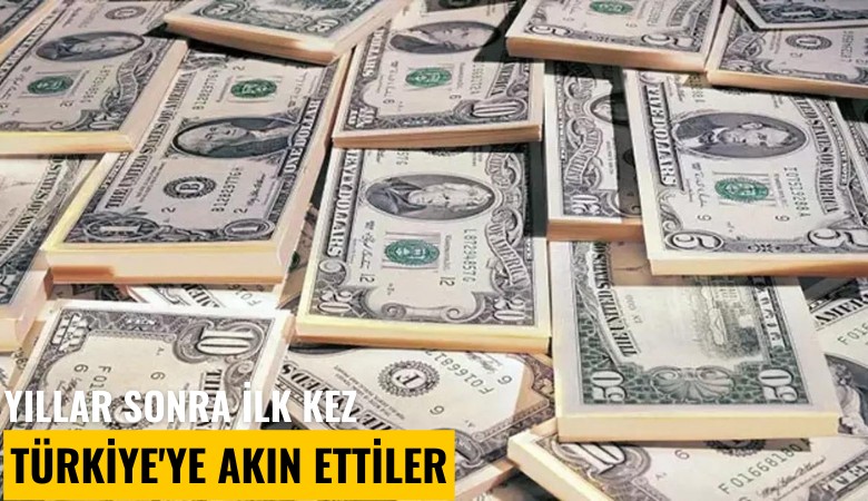 Yıllar sonra ilk kez Türkiye'ye akın ettiler