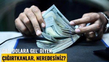 'Gel, dolara gel' diyen çığırtkanlar, neredesiniz?