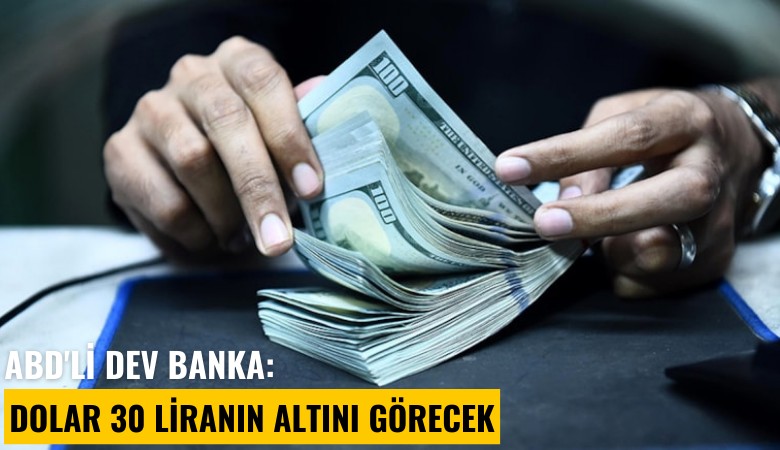 ABD'li dev banka: Dolar 30 liranın altını görecek